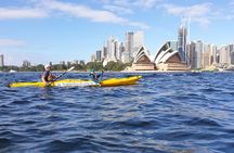Harbour Bridge Breakfast Paddle