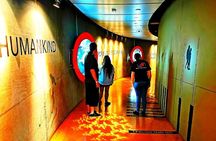 Cradle of humankind and lesedi cultural village tour