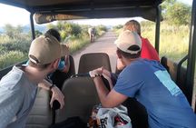 Pilanesberg national park tour-Open safari vehicle