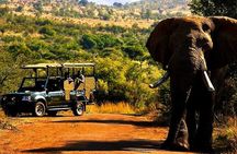 2 Day Pilanesberg national park Guided Tour