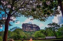 14-Day Private Tour in Sri Lanka