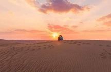 2-Day, 1-Night Camping Tour in White Desert with Cairo Pick Up