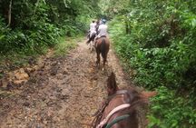 Horseback Riding in the jungle near Panama City