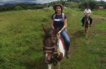 Horseback Riding in the jungle near Panama City