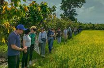 Cocoa and Gastronomy Tour at Hacienda CacaoyMango