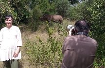 A Game Drive Plus White Rhino Short Walk 