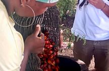 Quilombo Heritage Private Tour