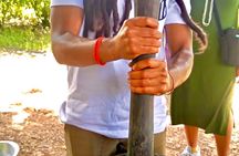 Quilombo Heritage Private Tour