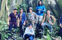 Amazon wildlife explorations 3 days 2 night