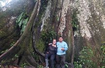 Amazon wildlife explorations 3 days 2 night