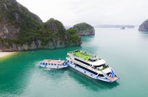 Amazing Cruise - Luxury Day Tour from Ha Long Bay