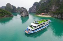 Amazing Cruise - Luxury Day Tour from Ha Long Bay