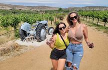 Private Wine Tasting Experience