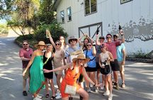 Private Wine Tasting Experience