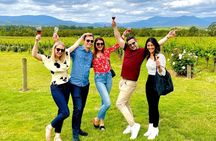 Amazing Yarra Valley Wine, Gin, Cheese & Chocolate Tour