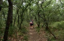 Castel del Monte: excursion in the Alta Murgia National Park