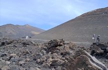 Etna Morning Tour with Lunch Included