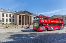 Oslo: Walking Tour + Hop-on Hop-off Bus Tour 