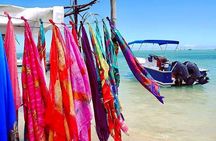 Fully Day Tour: Dolphin Encounters, Crystal Rock at Benitiers Island
