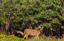 14-Day Private Tour in Sri Lanka