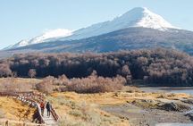 4-Day Trip to Ushuaia by Air from Buenos Aires