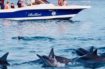 Fully Day Tour: Dolphin Encounters, Crystal Rock at Benitiers Island