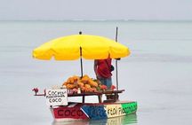 Fully Day Tour: Dolphin Encounters, Crystal Rock at Benitiers Island
