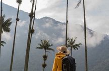 Colombia’s 3 Axis of Diversity: Bogota, Coffee Region and Cartagena 8-Day Tour