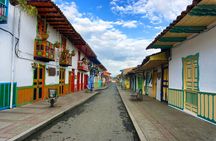 Cocora Valley and Salento Horseback Riding Day Tour
