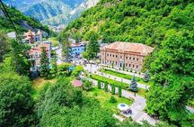 Borjomi National Park Full Day Private Tour From Tbilisi