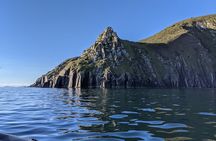 Blasket Island Eco Tour.