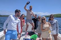 Private 1-Hour Guided Boat Tour in Dingle Peninsula