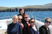 Private 1-Hour Guided Boat Tour in Dingle Peninsula