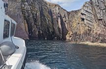 Private 1-Hour Guided Boat Tour in Dingle Peninsula
