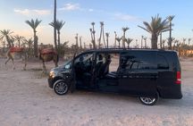Marrakech city tour with driver - Half-day