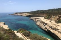 Full Day to Blue Grotto, Marsaxlokk, Kalanka Bay, Tarxien Temples