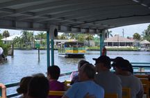 Cocoa Beach Dolphin Tours on the Banana River
