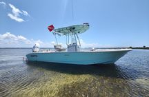 2-Hour Private Sightseeing Dolphin Tour in Panama City Beach