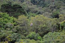 Zipline tour on the central valley of Costa Rica
