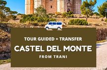 Trani – Castel del Monte: organized tour in 3 hours