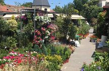 Private Walking Tour of Belgrade and Old Zemun