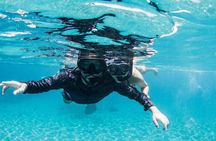 Snorkel Shore Trip with Scubaçao "East Point"