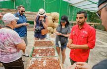 Coffee, Chocolate & Sugar Cane Tour (Regular)