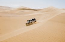 4x4 Desert Safari, Sandsurf, and Camel Ride from cairo with Lunch