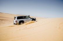 4x4 Desert Safari, Sandsurf, and Camel Ride from cairo with Lunch
