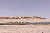 4x4 Desert Safari, Sandsurf, and Camel Ride from cairo with Lunch