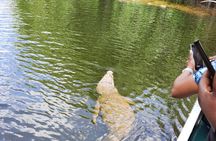 Omar's Black river Safari, YS Falls tour from montego bay 