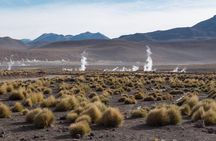 Tatio Geysers Tour