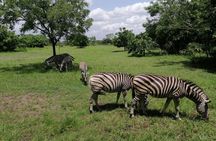 Full-Day Accra Safari and Boat Cruise Private Tour 
