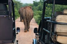 2 Days Tour To Bentota Galle & Yala From Colombo